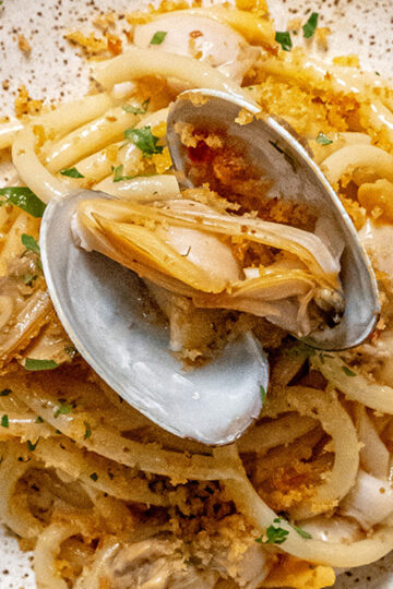 A close-up of pasta with clams in their shells, garnished with herbs and breadcrumbs, served on a speckled plate.
