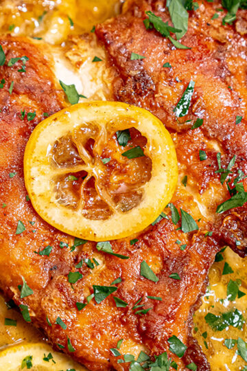 Close-up of a cooked chicken breast topped with a slice of lemon and garnished with chopped parsley, all in a golden, saucy marinade.
