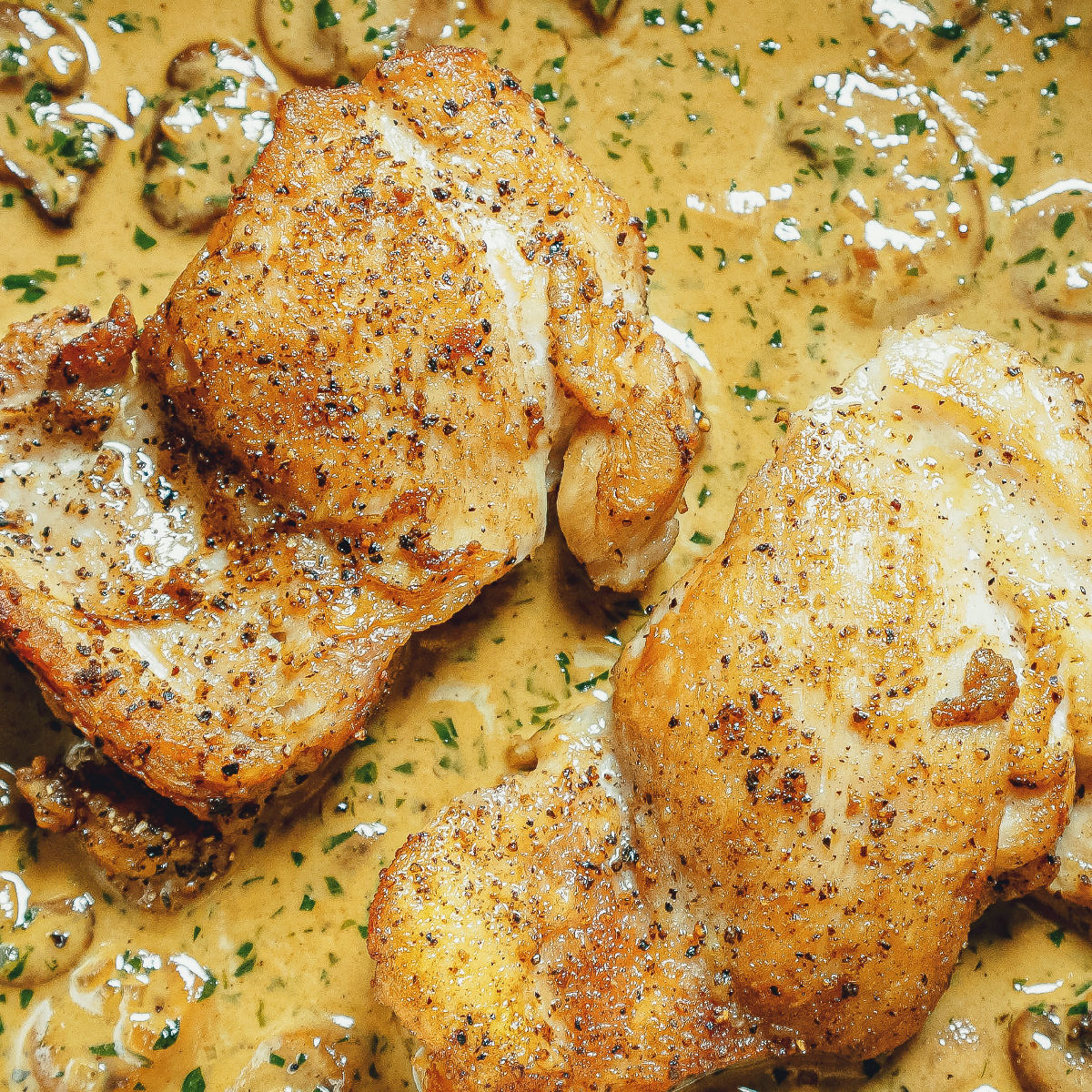 Two pieces of seasoned, pan-seared chicken resting in a creamy, herb-speckled sauce with visible mushroom slices. The chicken has a golden-brown crust and sits in a rich, savory mixture.