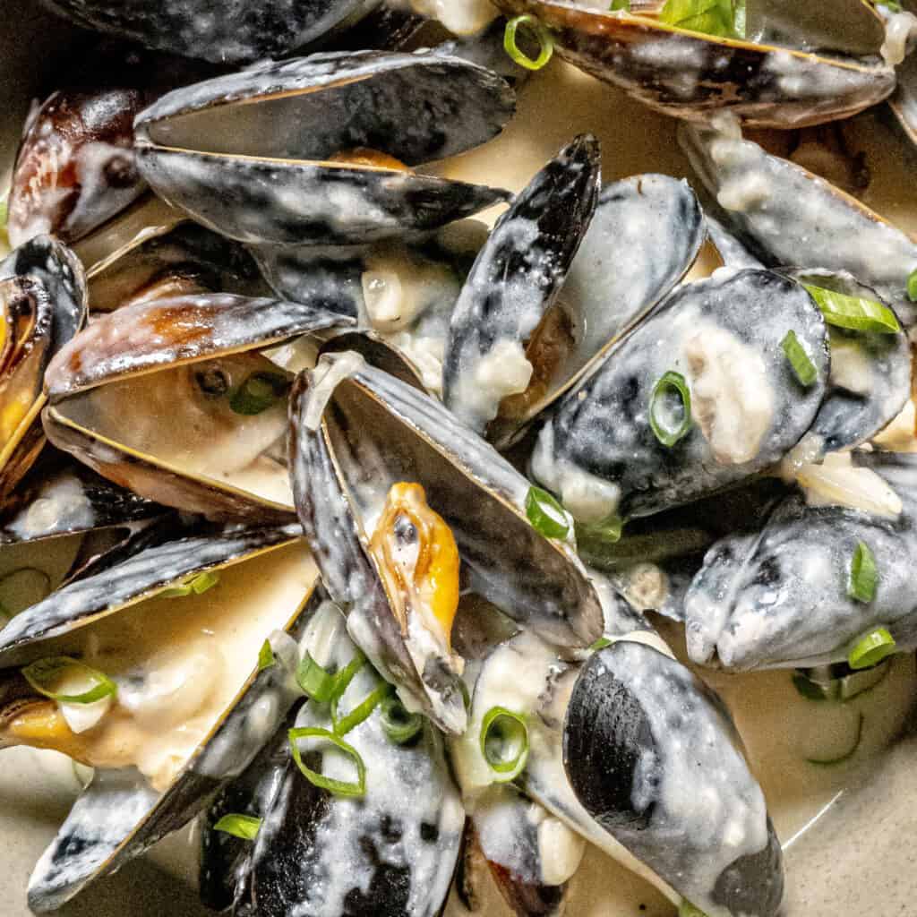 Mussels with Parmesan Cream