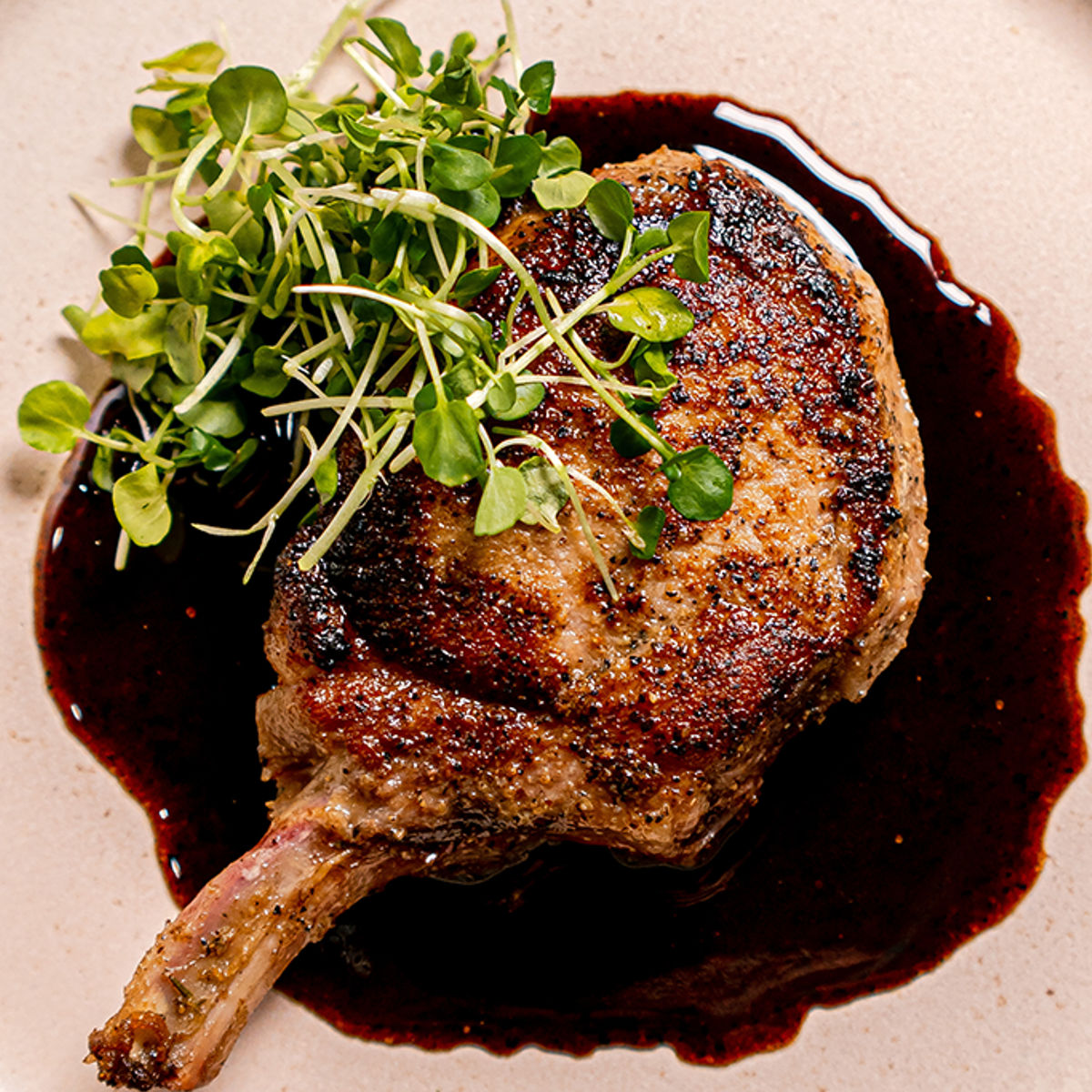 A grilled bone-in pork chop served on a light plate, topped with fresh microgreens and plated over a rich, dark sauce.
