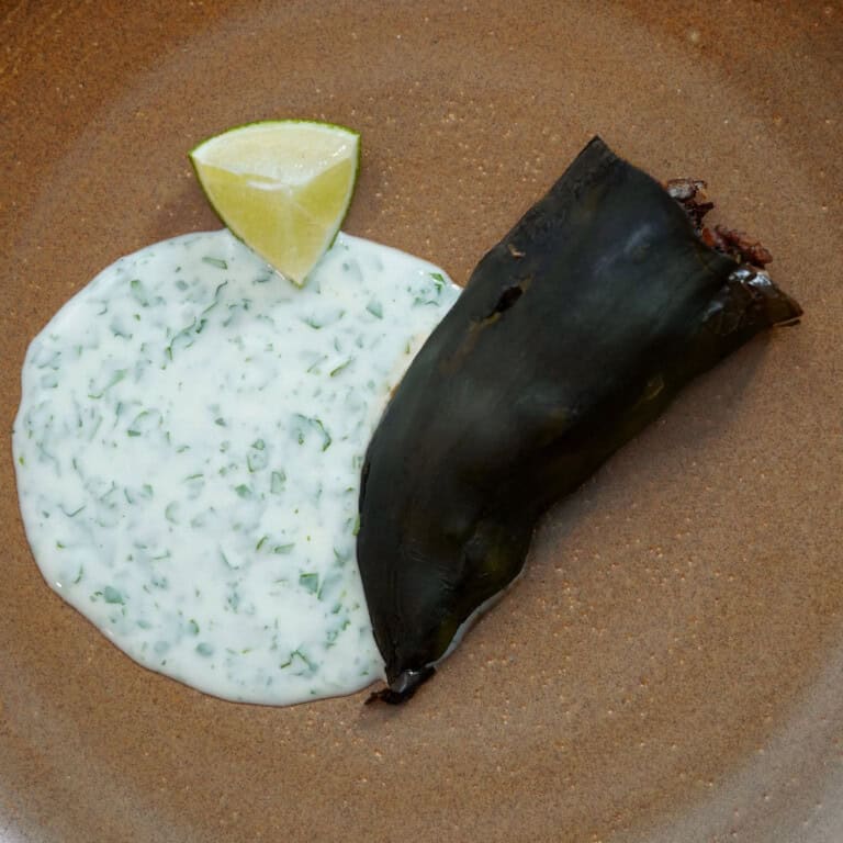 Venison Stuffed Poblano Peppers