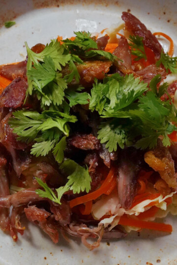 A plate of shredded meat garnished with fresh cilantro sits on a bed of thinly sliced cabbage and carrots, served on a speckled ceramic dish.