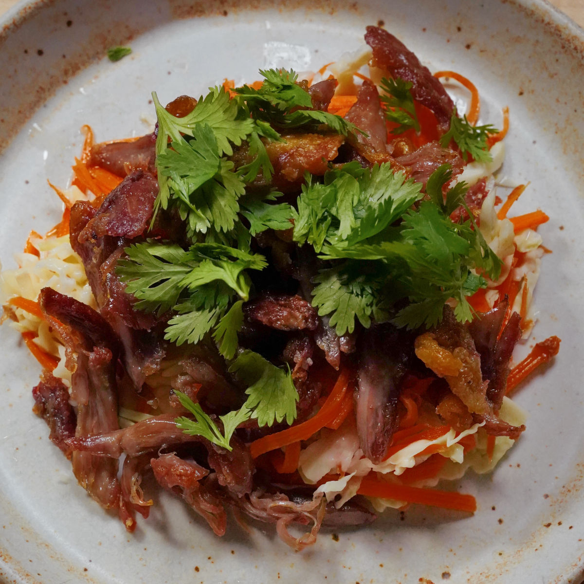 A plate of shredded meat garnished with fresh cilantro sits on a bed of thinly sliced cabbage and carrots, served on a speckled ceramic dish.