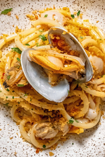 A plate of pasta with clams in their shells, garnished with herbs and breadcrumbs, served on a speckled ceramic dish.